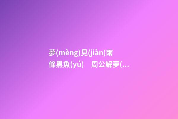 夢(mèng)見(jiàn)兩條黑魚(yú)　周公解夢(mèng)之夢(mèng)到兩條黑魚(yú)